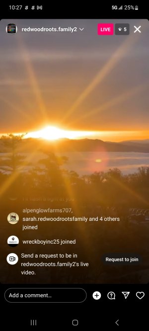 Screenshot_20230207_102722_Instagram.jpg