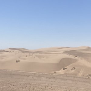 IMG_2591.jpeg