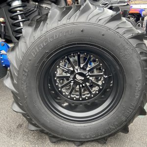 IMG_9643.jpeg