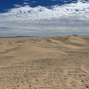IMG_0117.jpeg